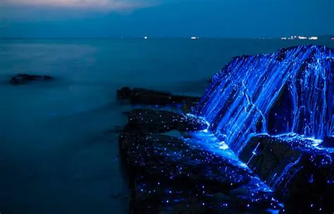   Heteronema! A Microscopic Marvel Unveiling Nature's Hidden Wonders Through Bioluminescence