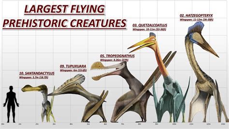  Quetzalcoatlus 이란 무슨 동물일까요? 척추동물의 세계에서 가장 큰 날개를 가진 고대의 마법사